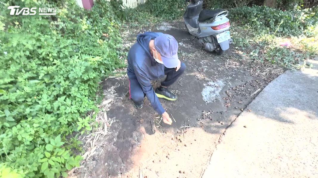 護理師遭賓士2度撞擊亡!右臉削去一半 伯父怒吼:判死刑(圖/TVBS)