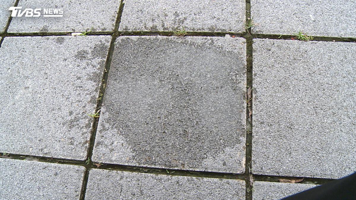 大雨來時先別急著排 城市防洪關鍵藏在腳下與屋頂