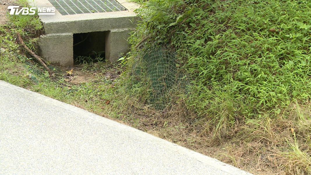 大雨不要急著排走,台北把公園、屋頂變成城市海綿。(圖/TVBS)