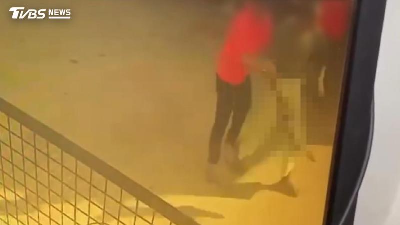 白沙屯拱天宮前驚見「男掐貓脖」!60歲男勒斃浪貓 竟稱:吵到我睡覺(圖/TVBS)