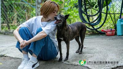 蔡淑臻克服童年「4狗狂追」夢魘 收養流浪犬:把我的創傷治好