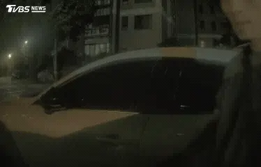 特斯拉-竊盜-桃園-哨兵模式-急診醫師
