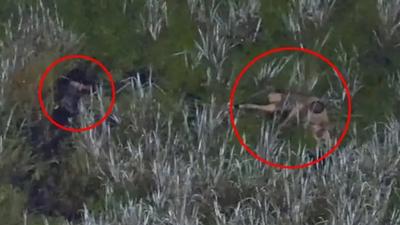 美27歲父酒駕闖入封閉鱷魚沼澤 下車逃逸竟把2幼童扔入池中