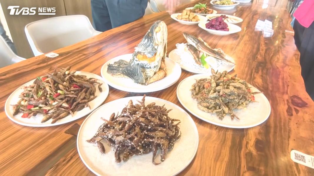 打不贏就吃掉牠!日月潭魚虎變佳餚 三杯、糖醋13道上桌(圖/TVBS)