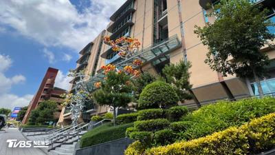中榮爆廠商代刀!兩主任放任密醫動手術 均獲緩刑