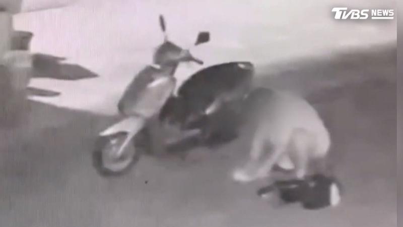 嫌犯將車內財物搜刮一空後騎車離去,之後還蹲在地上清點鈔票並分類贓物。(圖/TVBS)