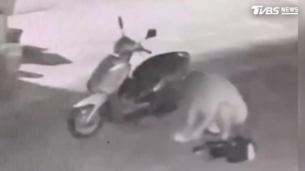 嫌犯將車內財物搜刮一空後騎車離去,之後還蹲在地上清點鈔票並分類贓物。(圖/TVBS)