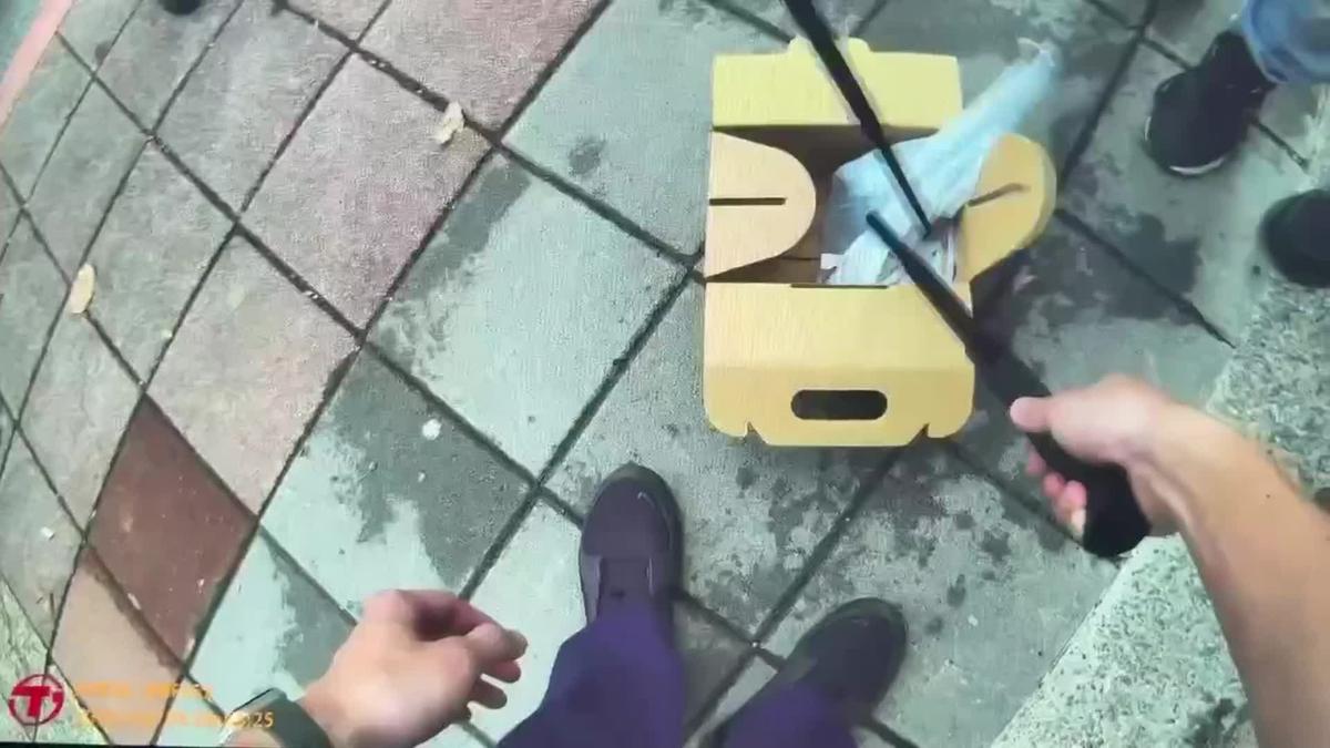 洗衣袋藏活蛇恐嚇店家!警追幕後藏鏡人 竹聯幫主嫌睡夢中被逮