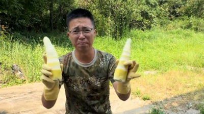 甲醛白菜後廣東又爆「硫磺竹筍」!二氧化硫嚴重超標 毒氣瀰漫超恐怖
