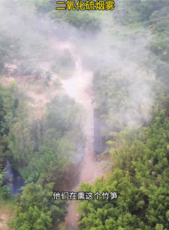 現場有大量刺鼻的白色煙霧不斷竄出。(圖/翻攝自錢江晚報)