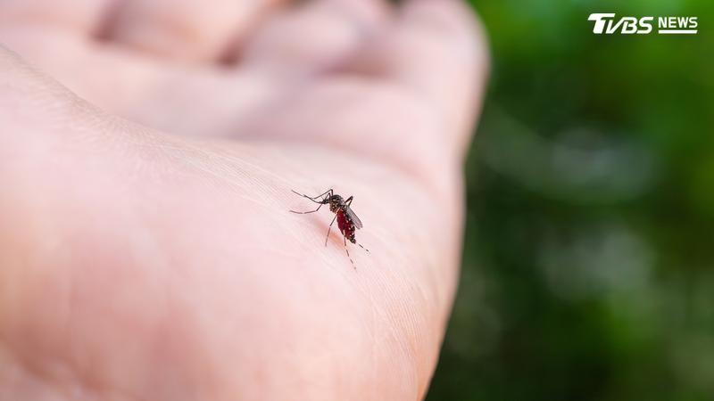 網友在社群平台X上分享輕鬆抓出蚊子的妙招。(圖/Shutterstock達志影像)