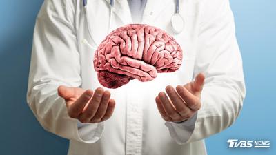 顛覆百年認知!史丹佛揭大腦是「2個器官」 漸凍症研究露曙光