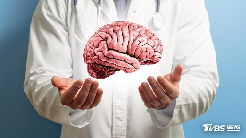 最新研究發現,人類大腦其實由2套分開發育的神經系統組成。(圖/Shutterstock達志影像)