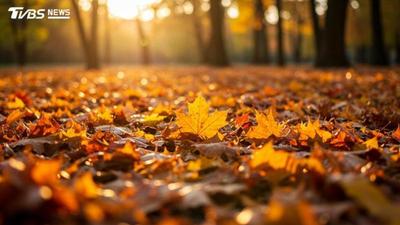 週二迎秋分!「4生肖」健康亮紅燈 命理師示警:恐失眠過勞