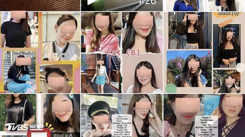 台中檢警破獲非法跨國訂製嬰兒集團,提供卵母、孕母照片任你挑。(圖/移民署台中市專勤隊提供)