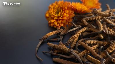 現代醫學解密千年秘方!西藏傳統藏藥登全球舞台