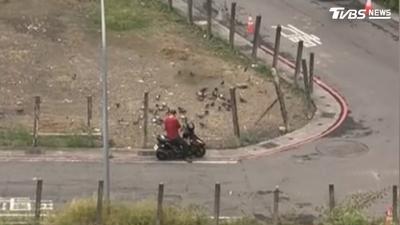 飛安疑慮! 小港機場周邊餵野鴿釀聚集 民航法最低罰30萬