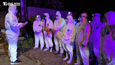 桃園爆禽流感!已撲殺2616隻雞 防檢署將「提前啟動強化防疫」
