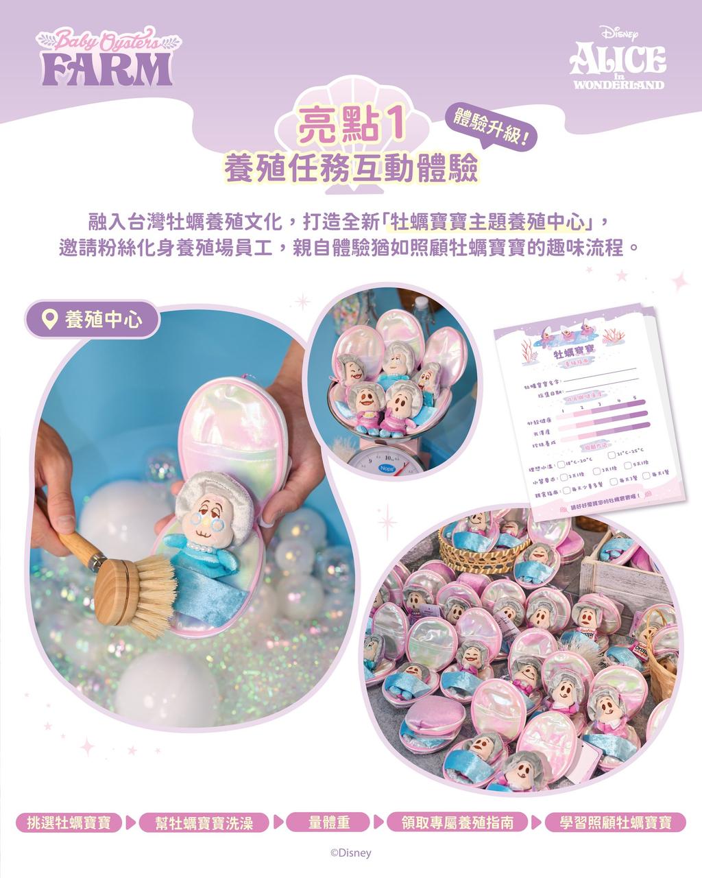 每位粉絲化身「養殖員」,帶走自己最喜愛的牡蠣寶寶。(圖/翻攝自IG@nikoniko.hk)