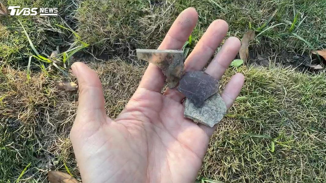 彰化寵物公園啟用不到1個月緊急封園!草皮暗藏玻璃「多狗割傷」(圖/TVBS)