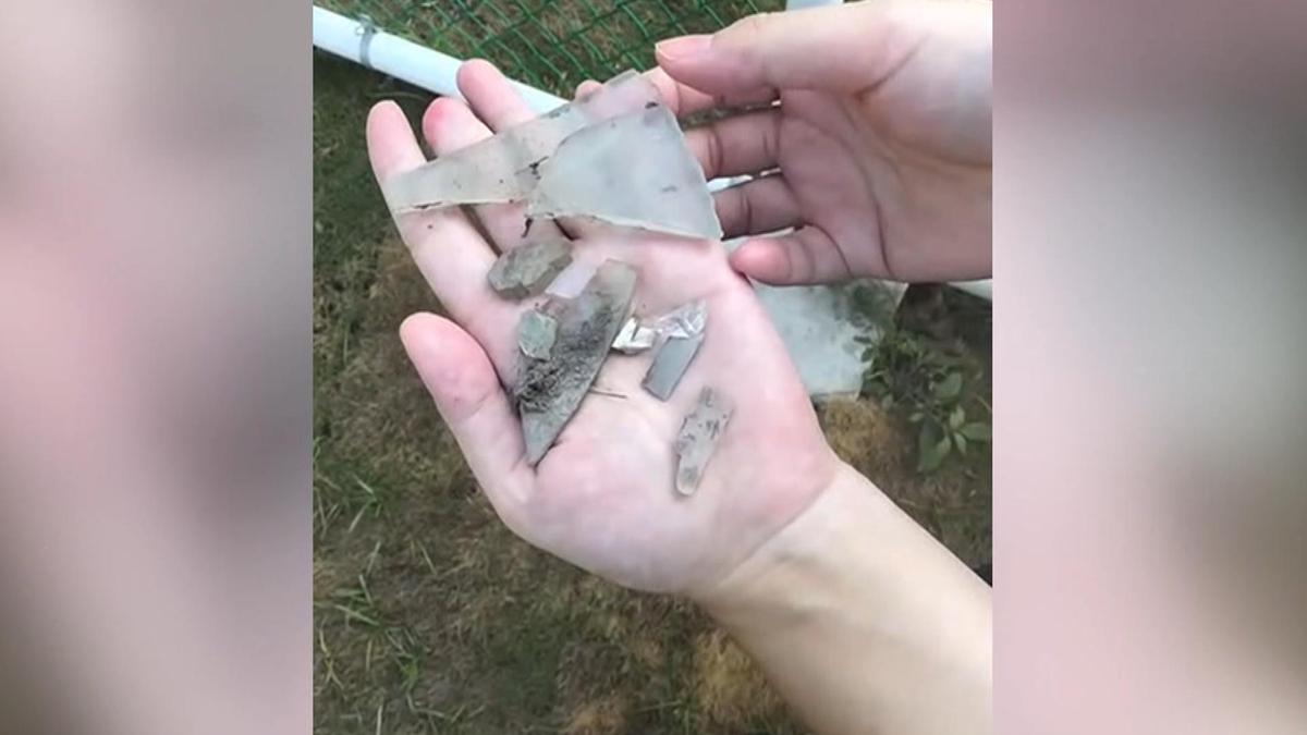彰化寵物公園啟用不到1個月緊急封園!草皮暗藏玻璃「多狗割傷」