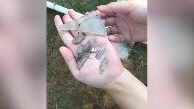 彰化寵物公園啟用不到1個月緊急封園!草皮暗藏玻璃「多狗割傷」