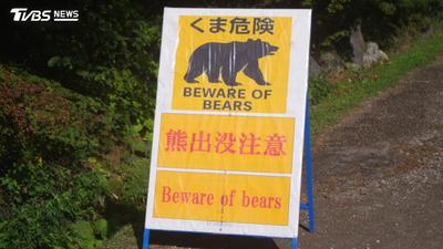 東京首次「緊急獵殺」!黑熊誤入陷阱 遭開槍撲殺