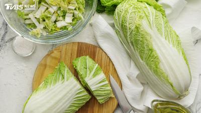 大白菜黑點能吃嗎?日達人揭「芝麻斑」成因 5招挑新鮮白菜