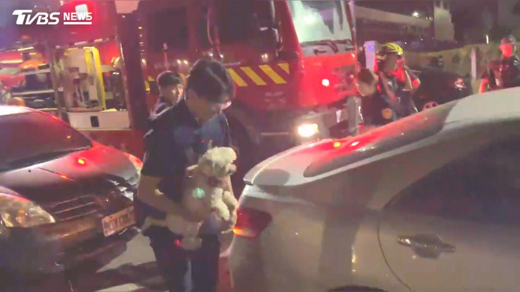 「車窗僅留10公分」狗困車內5hr!台中飼主失聯。(圖/民眾提供)