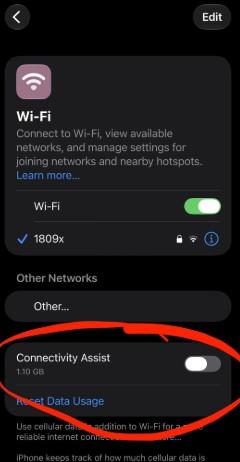 「連線輔助(Connectivity Assist)」會在Wi-Fi速度緩慢或無法使用時,使用行動數據來改善連線。(圖/翻攝 Reddit @u/ZoteTheMitey)