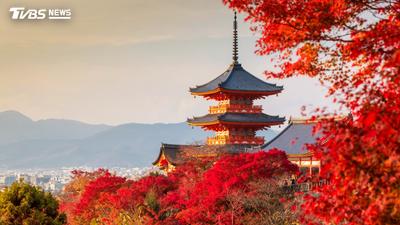 2026日本楓葉預測出爐 三大地區「最佳賞楓時間」一次看