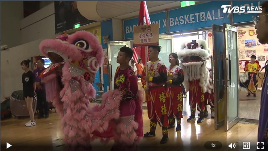 8獅隊齊聚爭獅王。(圖/TVBS)