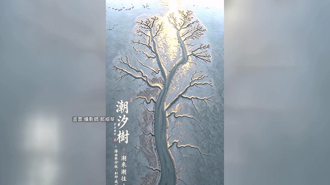 (圖/TVBS)