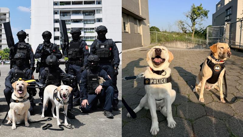 內政部指出,目前全國有5個警犬隊,共60隻警犬。(圖/內政部提供)