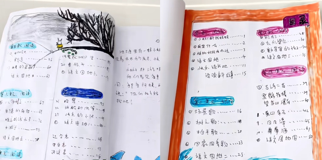 有長期接觸兒童書寫的網友直言，字跡一眼看去顯然屬於成年人。（圖／翻攝自小紅書）