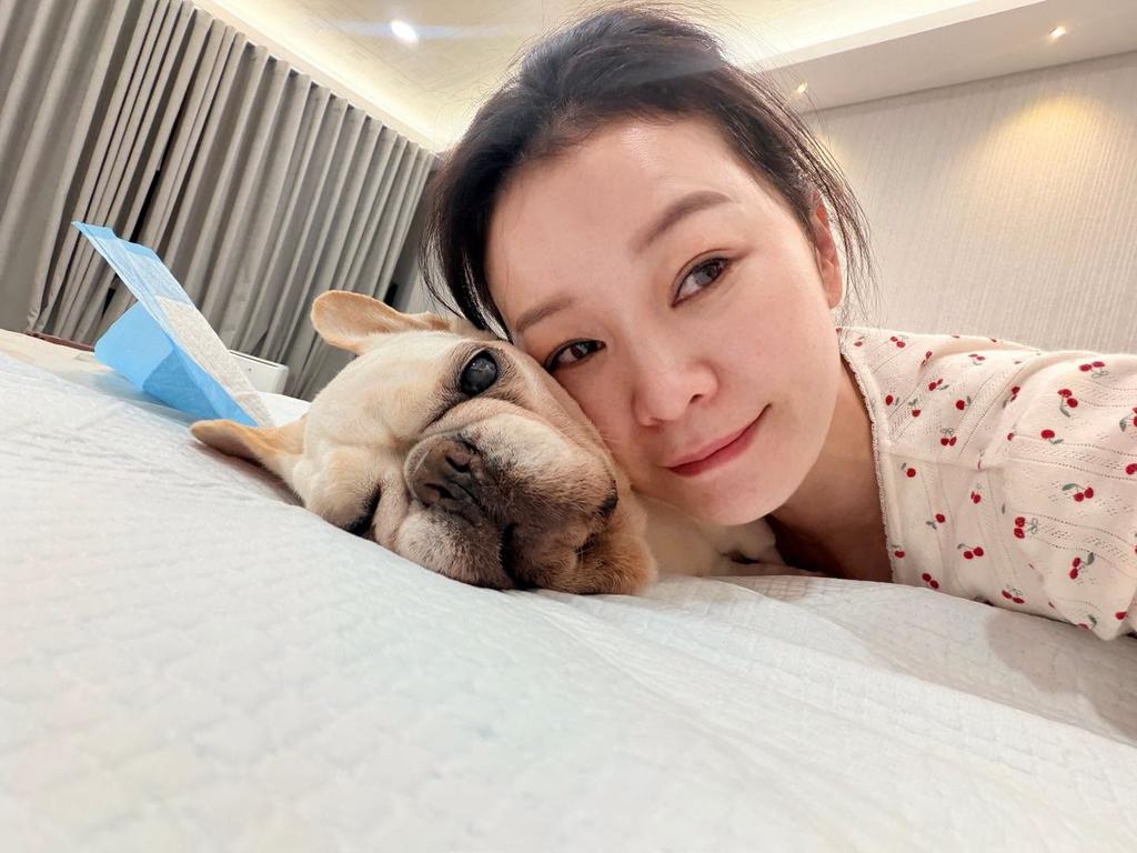 謝宜君心疼愛犬「豬豬」。(圖/翻攝自謝宜君臉書)