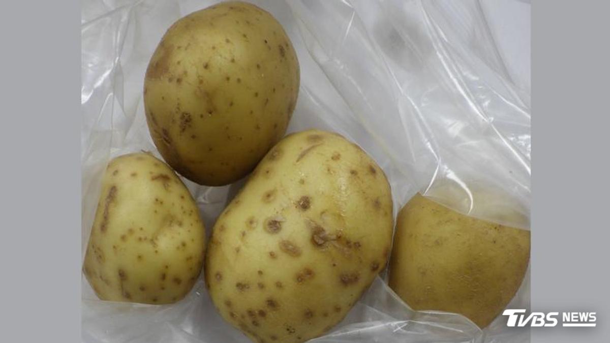 華元超標馬鈴薯已全退運 台中市衛生局:加強抽驗相關產製品
