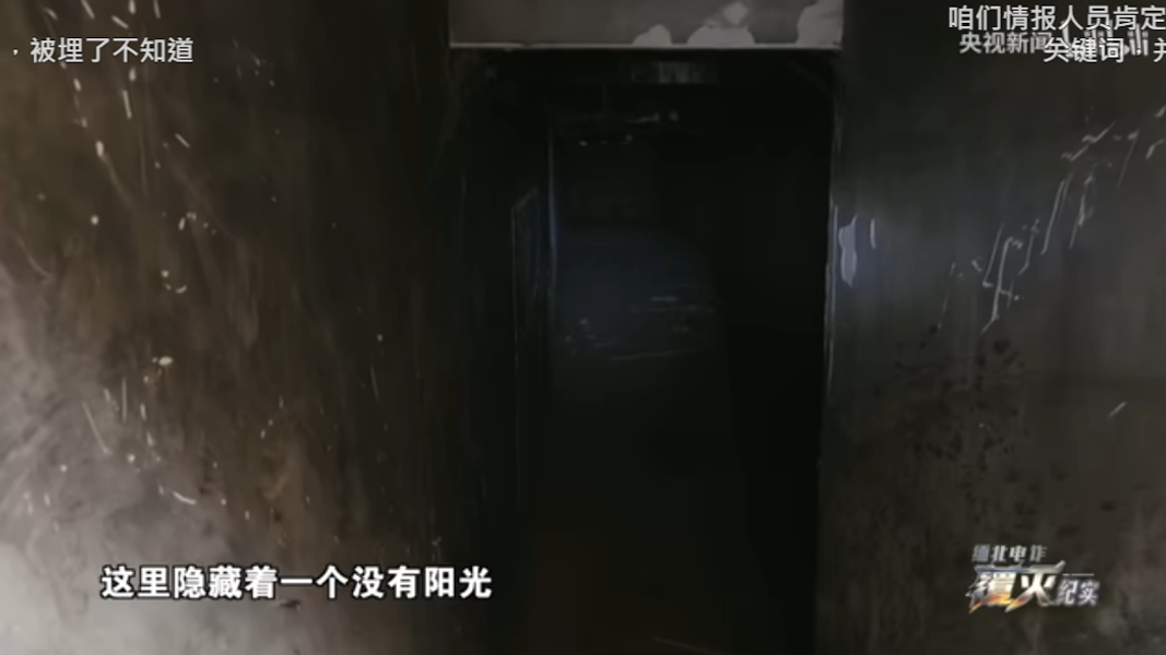 電詐產業在當地衍生出蓄意殺人、蓄意傷害、非法拘禁、人口販賣及強迫勞動等重大惡性犯罪。(圖/翻攝自央視)