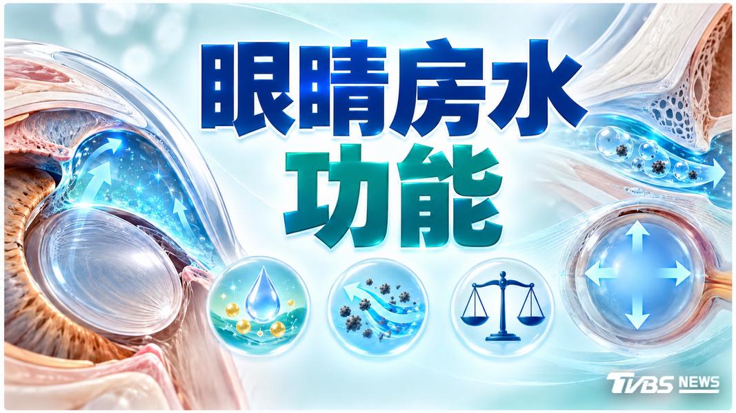 (圖/TVBS)