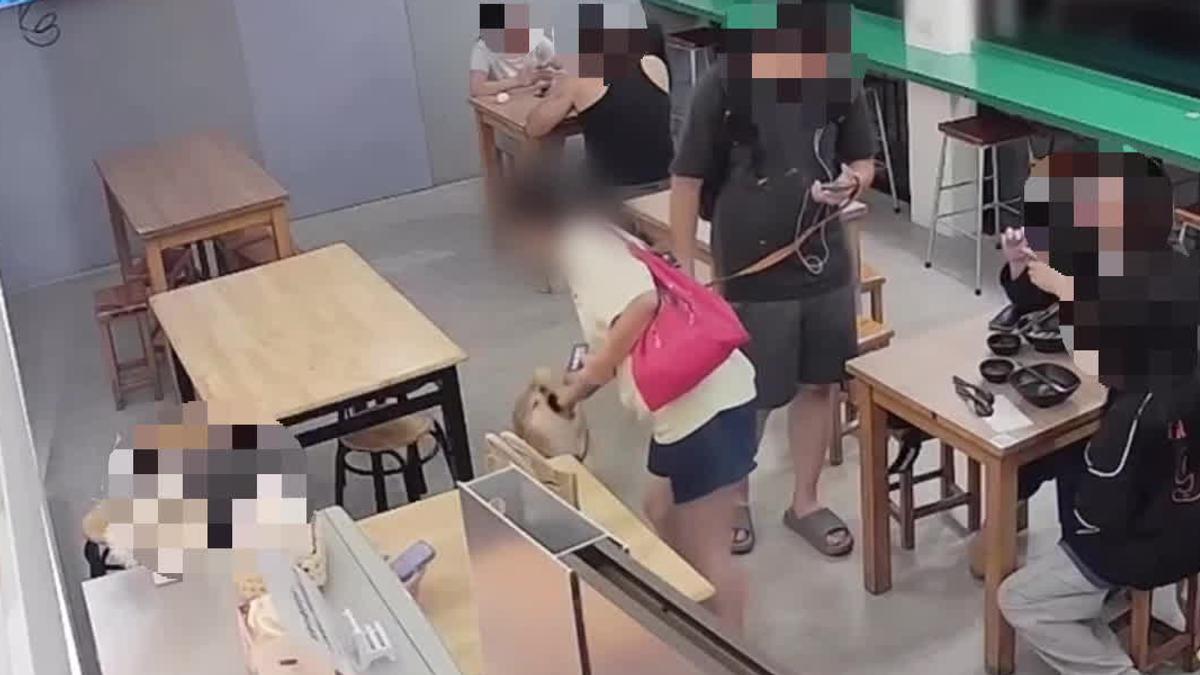 未經同意伸手摸頭!9歲柴犬秒反擊 女遭咬傷怒告飼主索賠