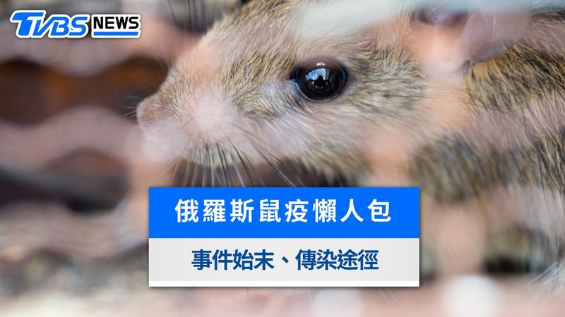 俄羅斯鼠疫-俄羅斯鼠疫最新消息-肺鼠疫症狀-鼠疫會人傳人嗎-鼠疫傳染途徑-鼠疫潛伏期-鼠疫死亡案例-WHO鼠疫通報-台灣鼠疫風險-鼠疫預防方法