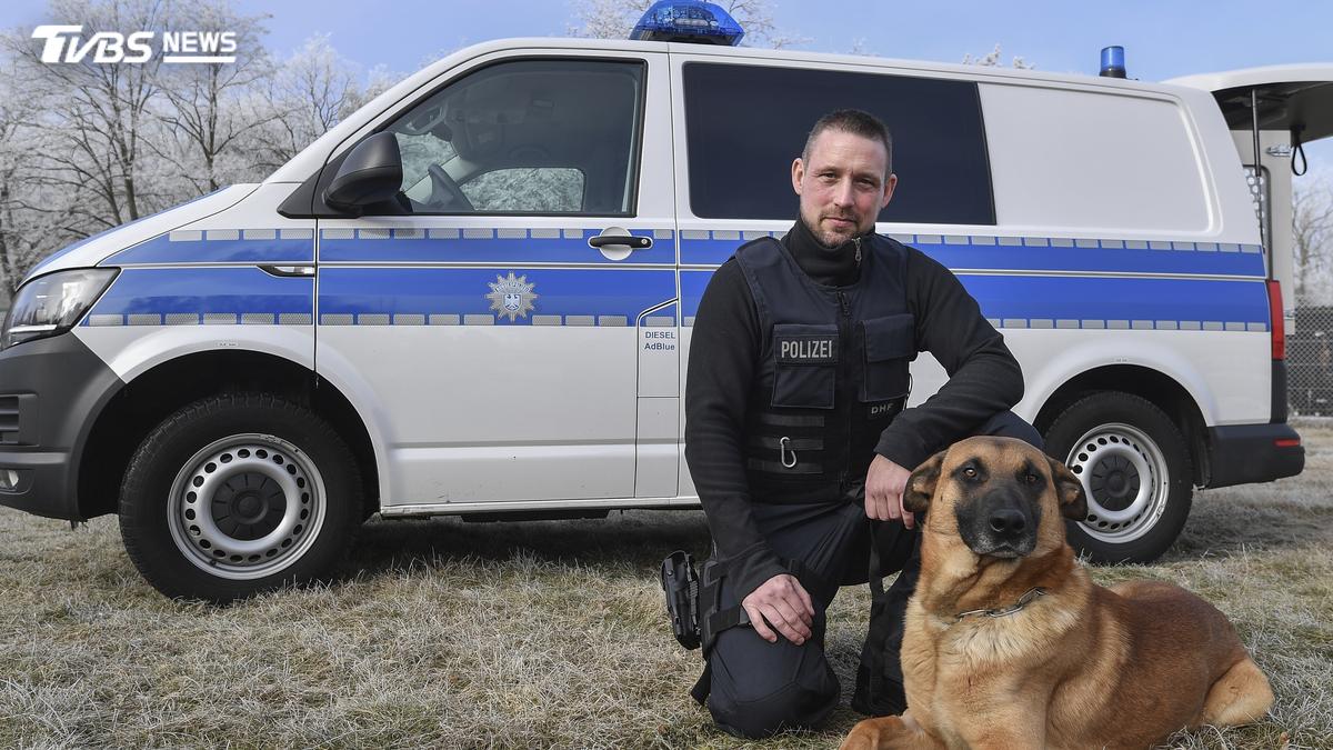 拿命換治安!英國4英雄警犬獲殊榮 昂貴醫療費拋出「退役保障」新課題