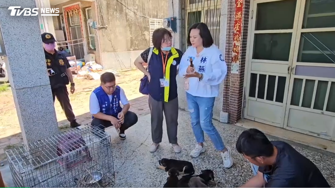 台南市議員林燕祝七月獲報立即趕往現場查看,揭開移工虐殺屠狗案。(圖/TVBS)