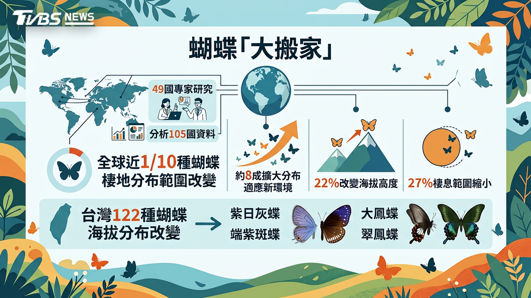 蝴蝶搬家(圖/TVBS)