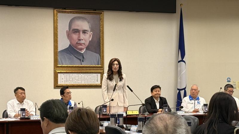 國民黨主席鄭麗文。(圖/TVBS)