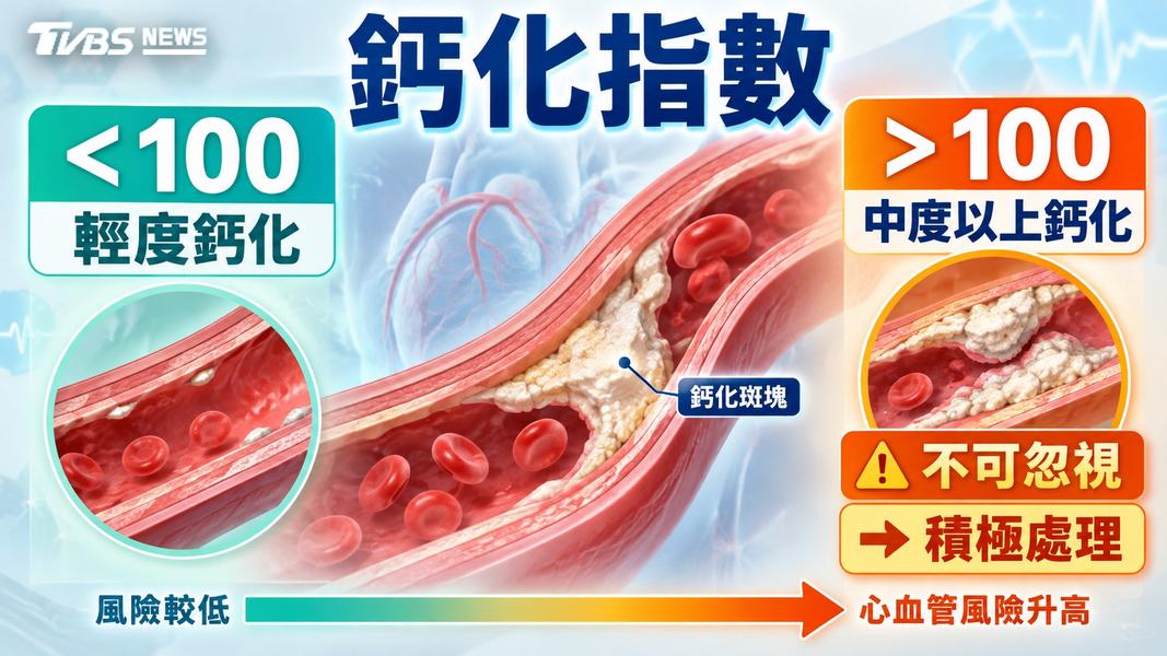 (圖/TVBS)