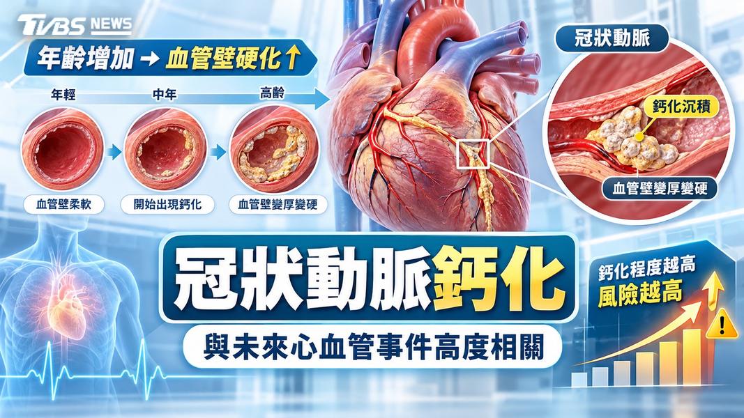 (圖/TVBS)