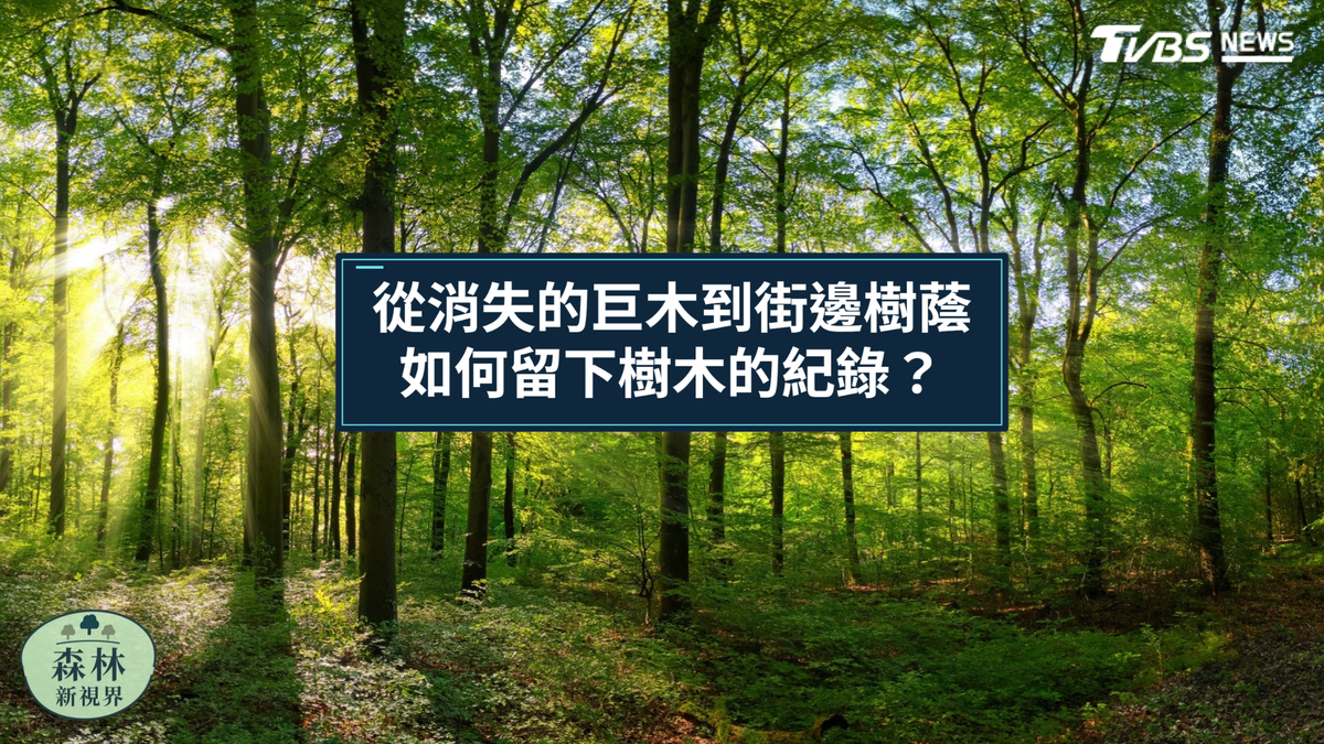光達 ─「大安溪倚天劍」背後的找樹科學