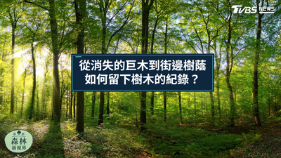 《森林新視界》找出巨木、也看見消失的樹 光達如何記錄台灣森林?