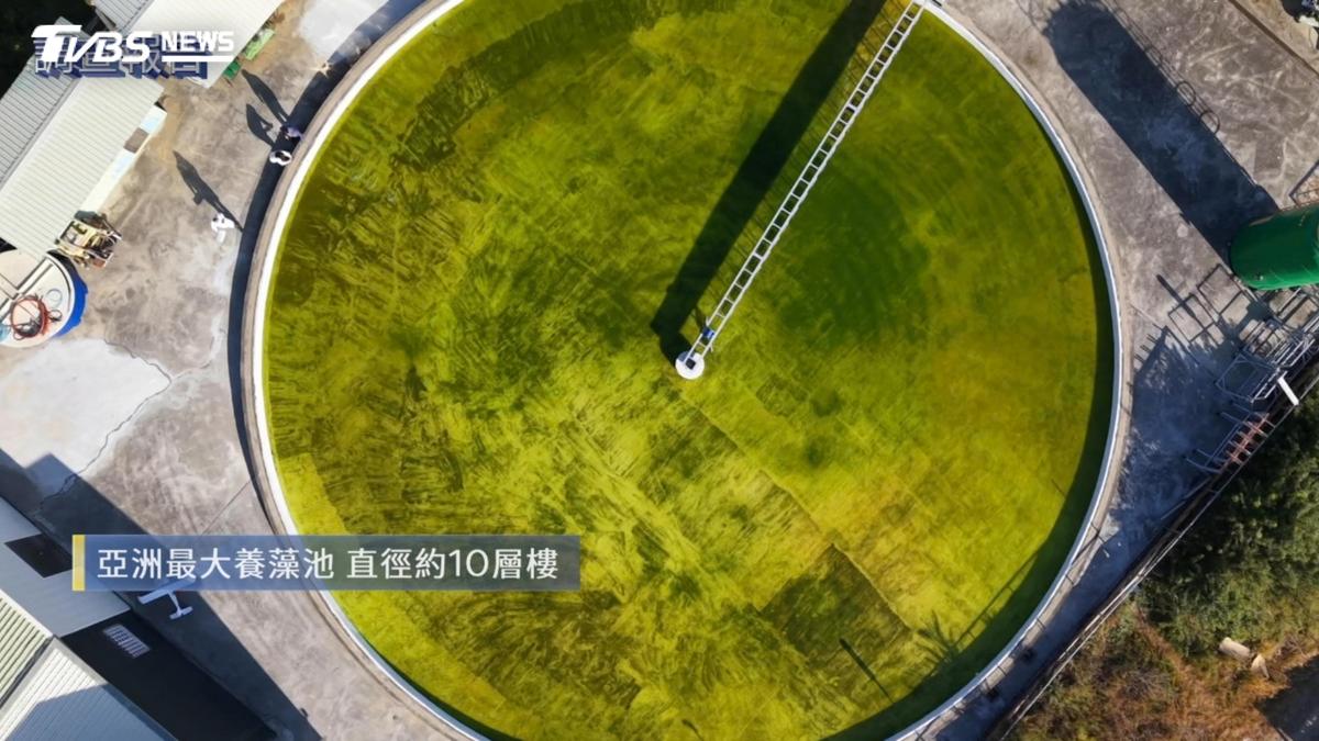 第10屆全球華文永續報導獎/微藻啟動永續航班